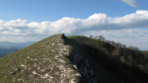 Cresta del Monte Cardamagna